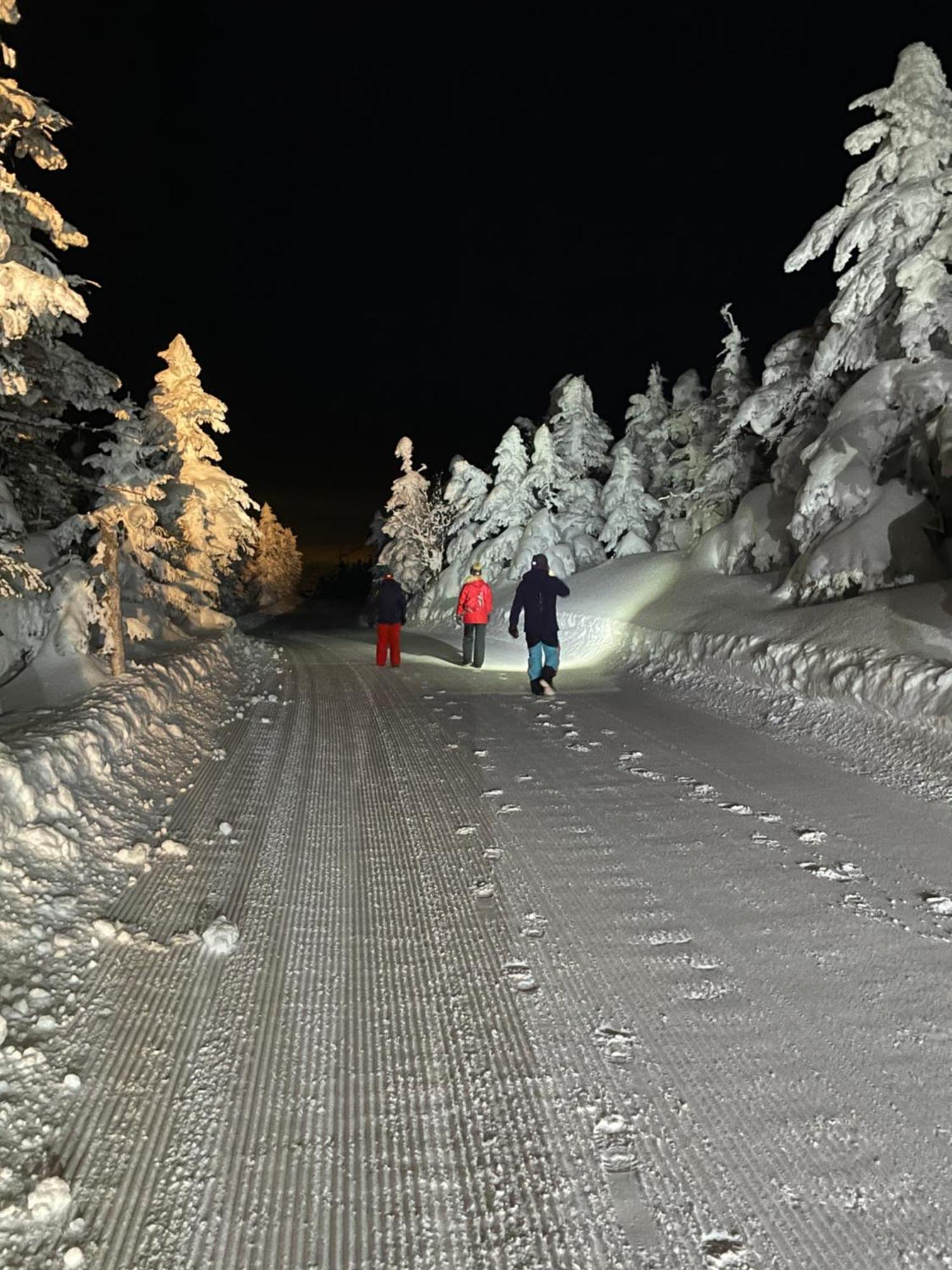 Shiga Kogen Lodge Яманоуті Екстер'єр фото