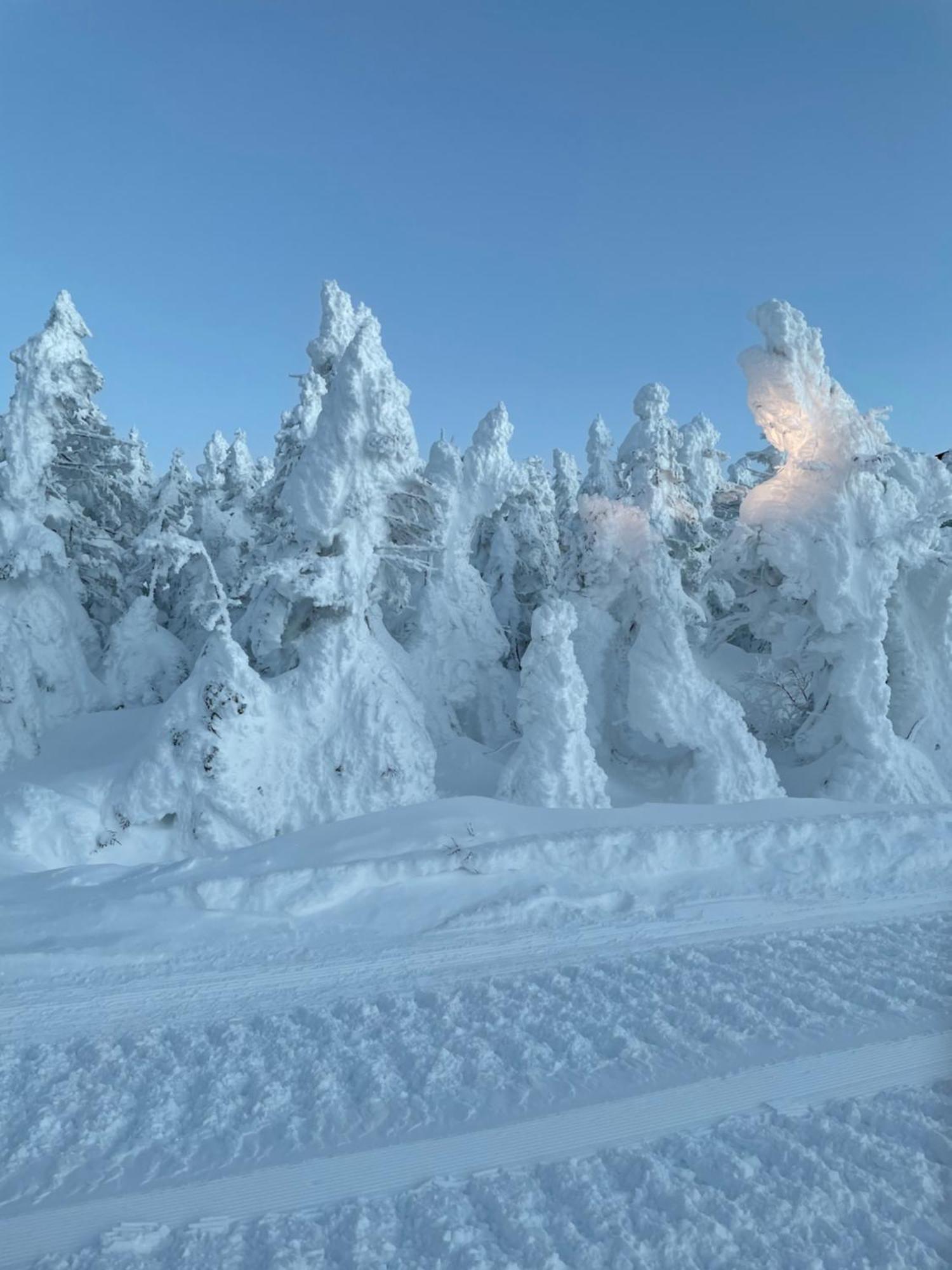 Shiga Kogen Lodge Яманоуті Екстер'єр фото