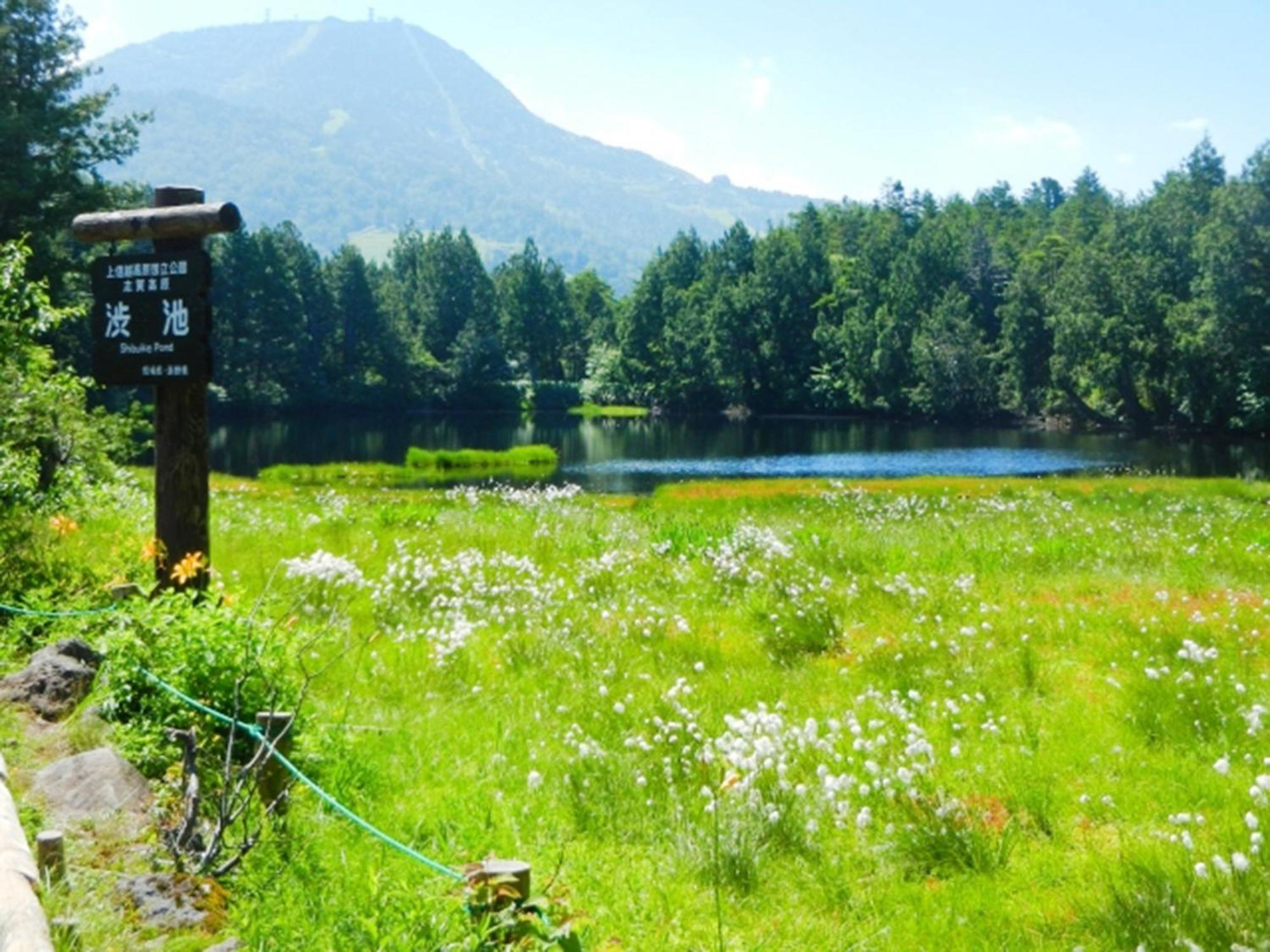 Shiga Kogen Lodge Яманоуті Екстер'єр фото