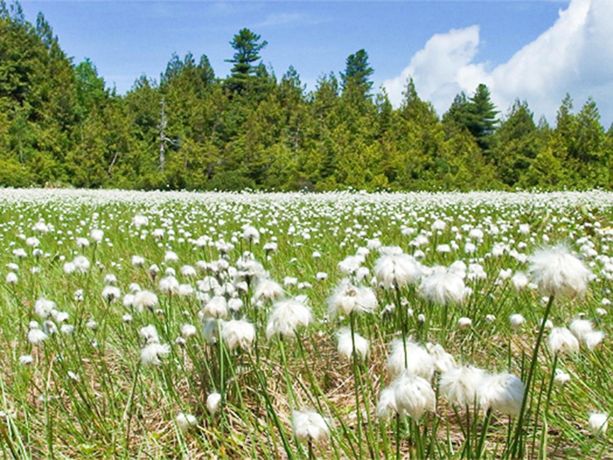 Shiga Kogen Lodge Яманоуті Екстер'єр фото